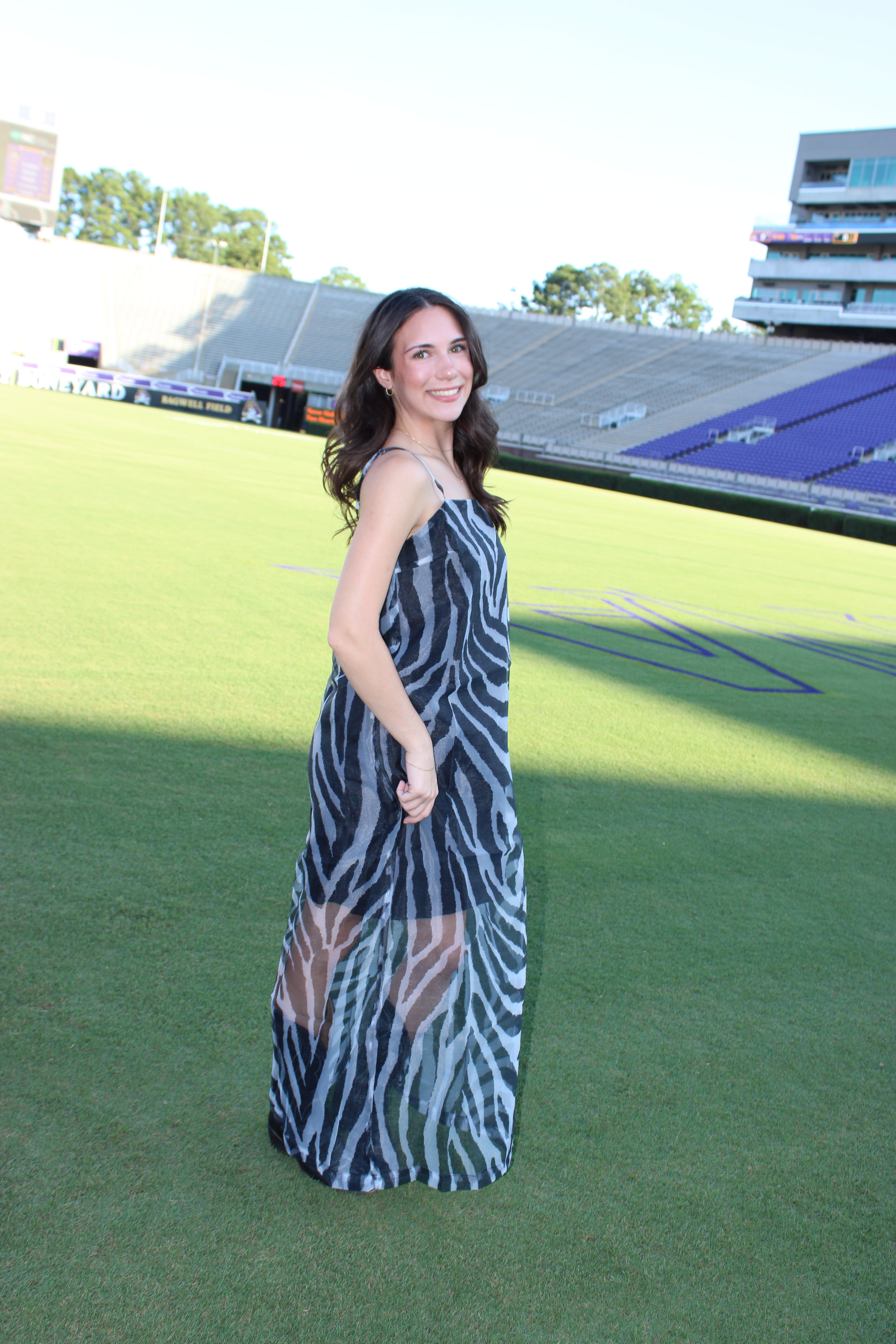 Renee Maxi Dress - Zebra Print