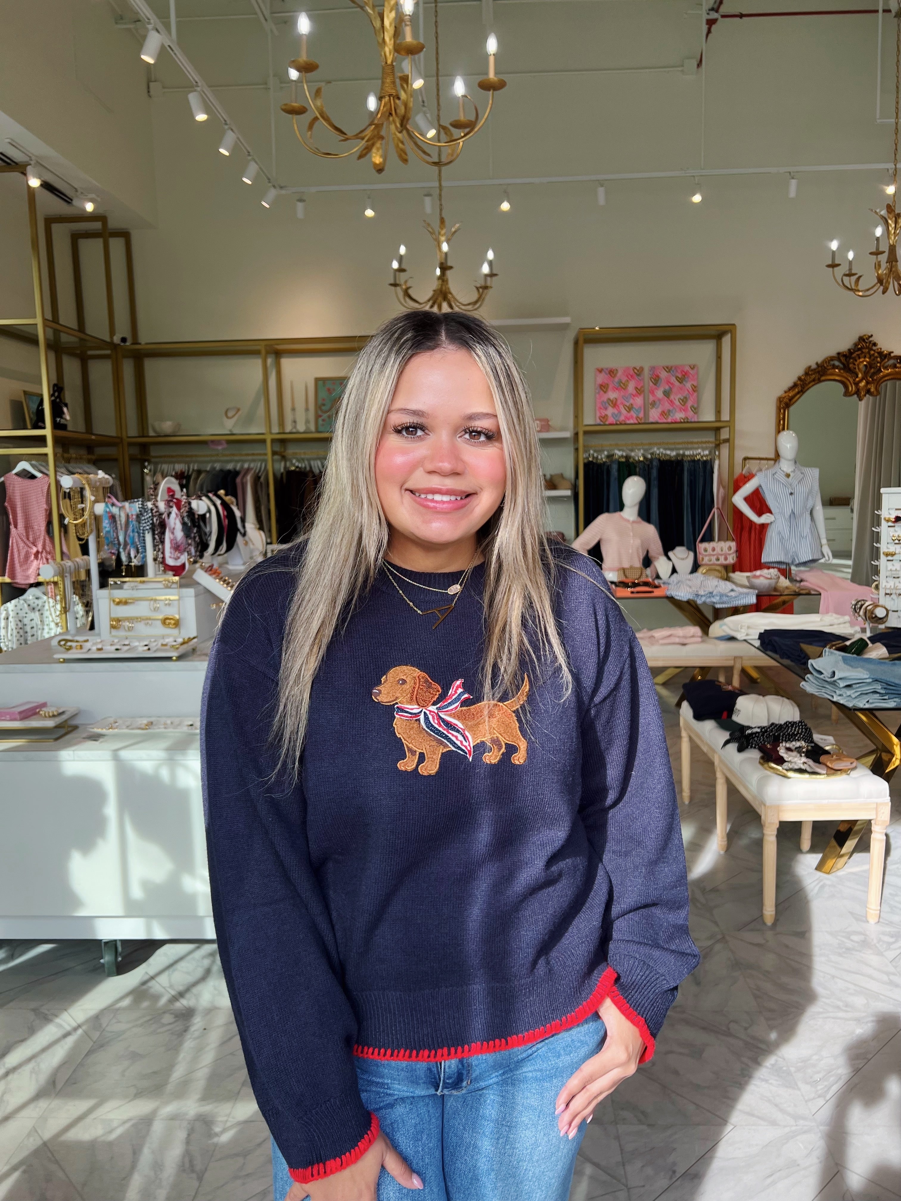 Mini Dachshund Soft Knit Sweater - Navy