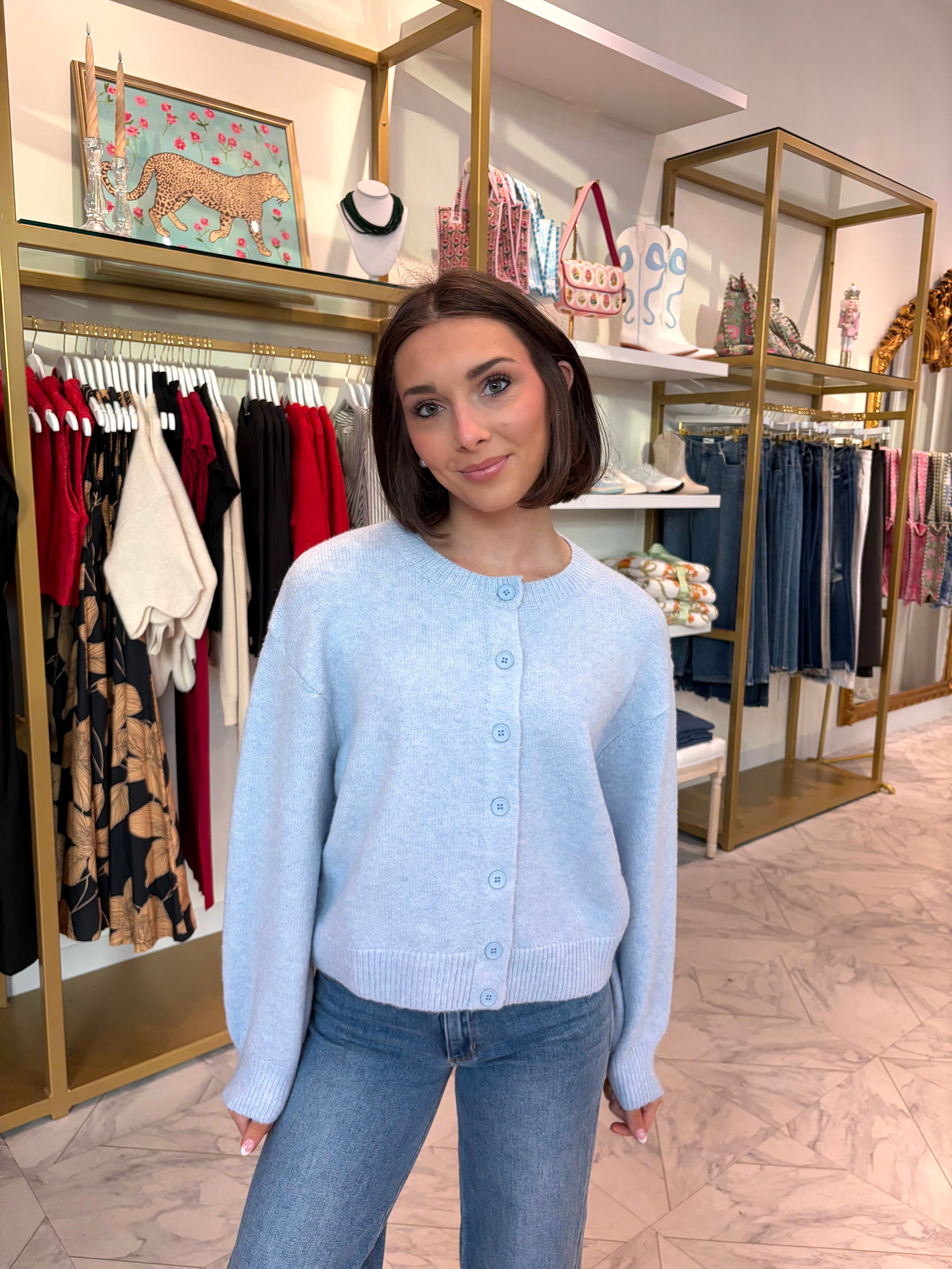 Becka Soft Knit Button Up Cardigan Sweater - Blue