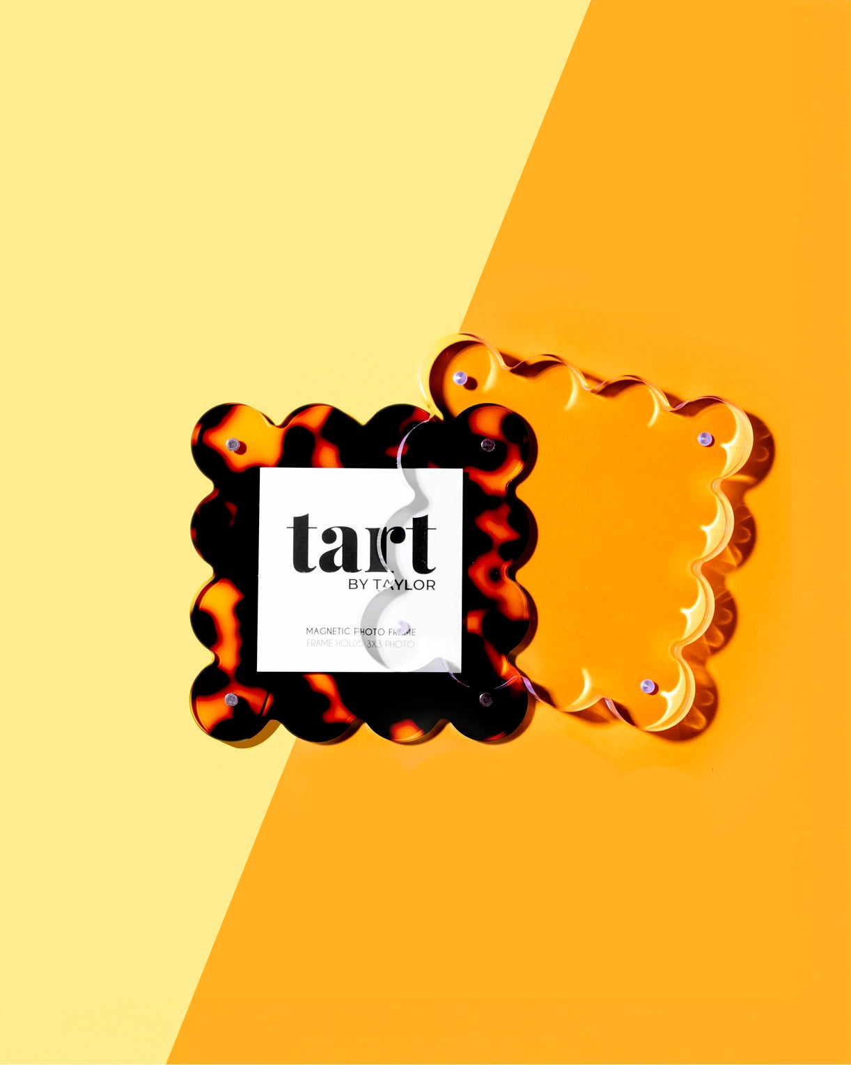 Tortoise Mini Acrylic Picture Frame