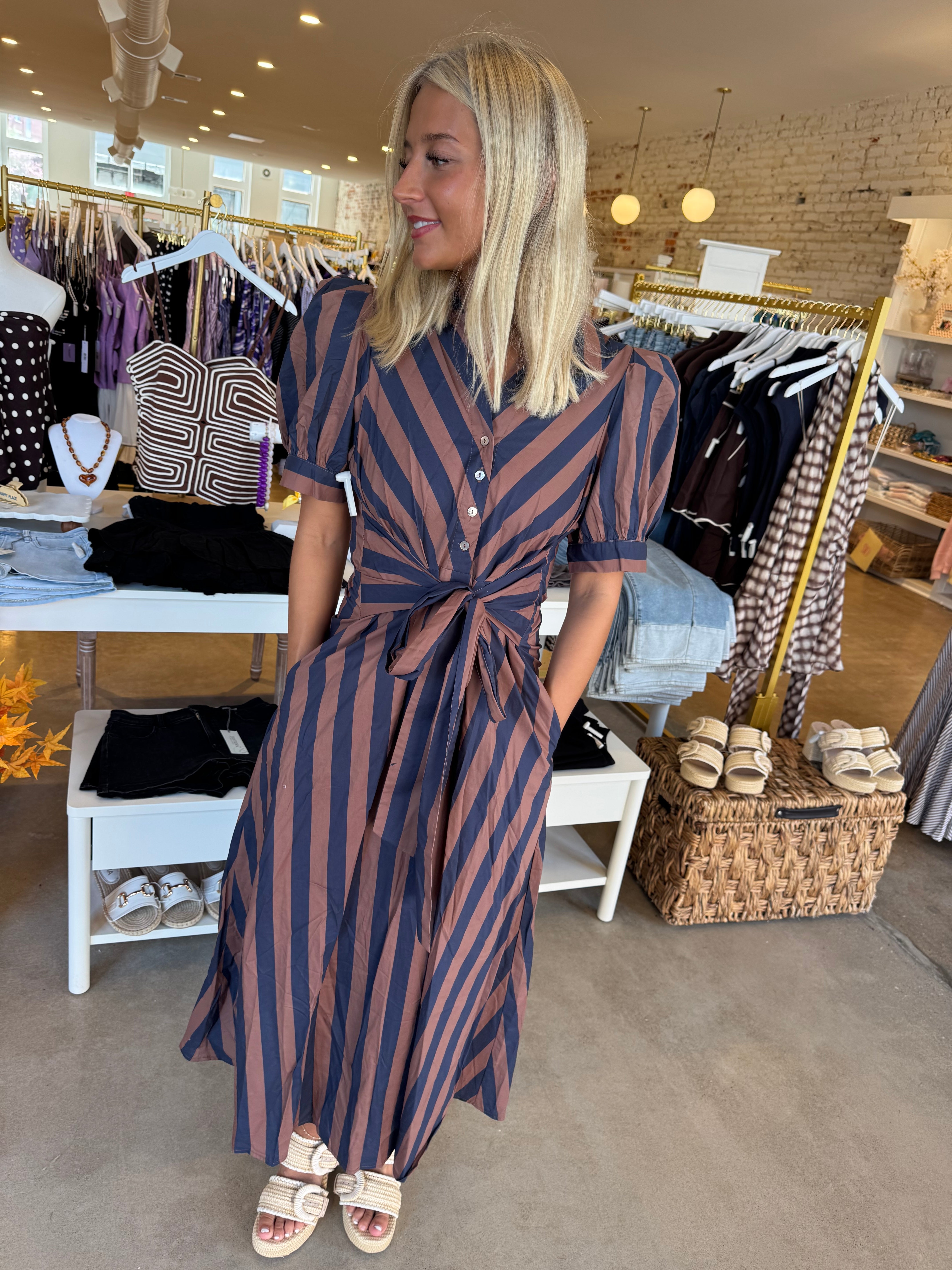 Wind Of Change Midi Dress - Navy Brown Stripe