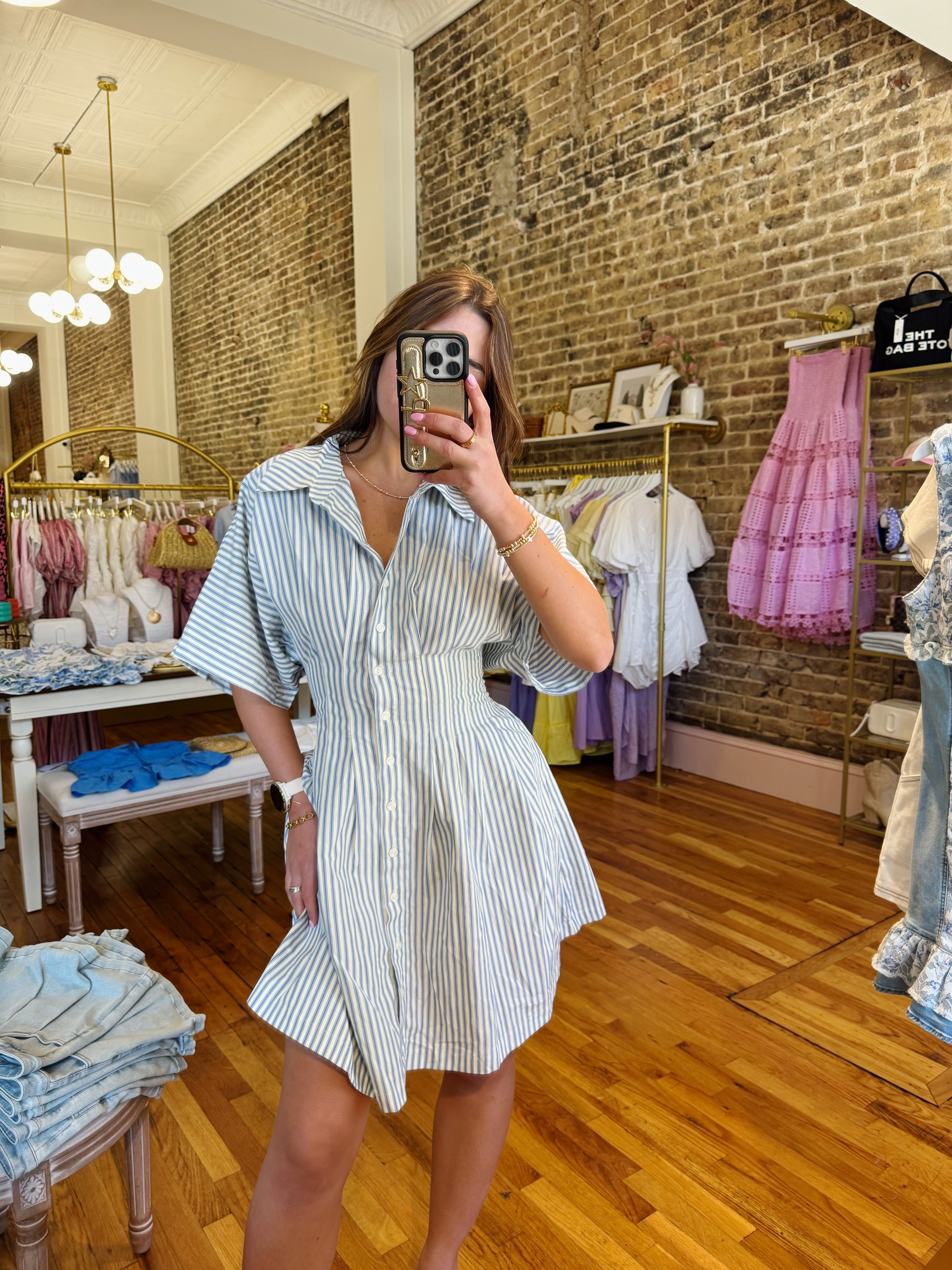 Clara Button Down Mini Dress - Blue Striped