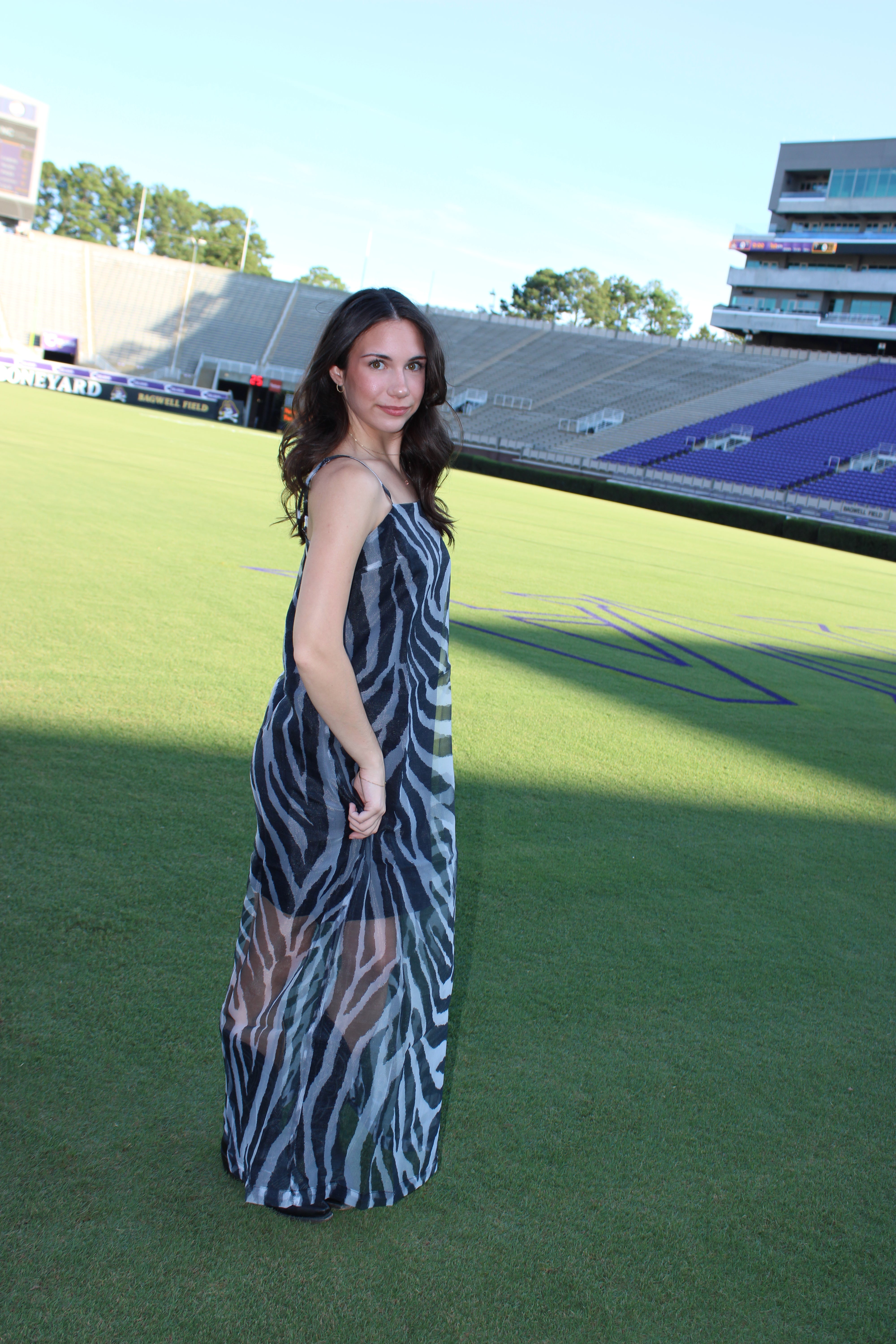 Renee Maxi Dress - Zebra Print